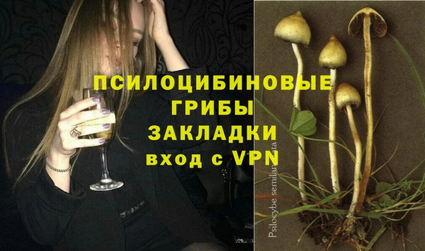 тгк Армянск